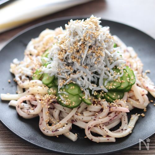 【さっぱりゆかりしらすうどん】食欲なくても食べられる！