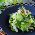 【らくレピ】キャベツときゅうりの浅漬け【万能塩キャベツ応用】