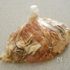 鶏とまいたけの米粉から揚げの工程2
