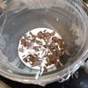 【一番簡単な生チョコサンドクッキー】材料３つで完成レシピ！の工程3