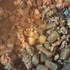 和音の作ってみた!投稿(【我が家自慢のごはん泥棒】豚ひき肉と大根こんにゃくの甘辛煮)