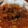 かめちゃん🐢の作ってみた!投稿(玉ねぎ切るだけ!煮込み10分【トマトカレー】)