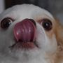 おのチン