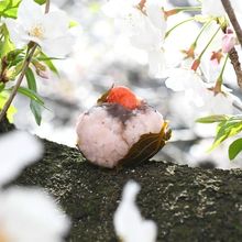「いちご桜餅」(食紅・道明寺は不要!)