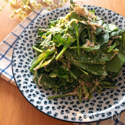 モリモリ食べられる♡サラダほうれん草としらすのマヨポン和え