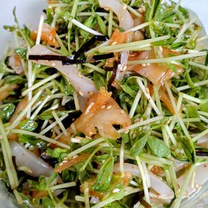 ゆみの作ってみた!投稿(5分で完成！極うま！イカそうめんと豆苗のキムチマリネ)