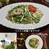 クラ蔵の作ってみた!投稿(れんこんと水菜のツナ入り和風ごまサラダ)