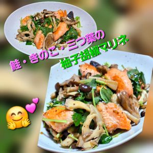 サトちゃんの作ってみた!投稿(冷やして美味しい！鮭・きのこ・三つ葉の柚子胡椒マリネ)