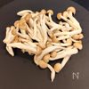 【レモン香る】タラのオイル蒸しの工程4
