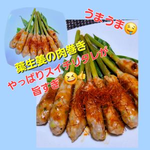 サトちゃんの作ってみた!投稿(葉生姜の肉巻き！極うまスイチリ醤油★詳し〜い肉巻きのレシピ)
