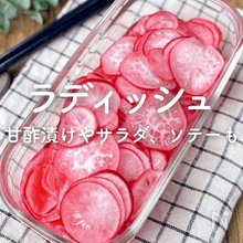 「ラディッシュ」人気レシピ｜甘酢漬けやサラダ、ソテーも！
