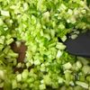 栄養満点！かぶの葉と卵の混ぜご飯の工程2