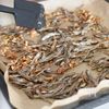 子どもも食べやすい【ナッツ入り!ザクザク田作り】の工程5