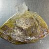 こんがりふっくら♪鯛のレモンペッパー焼きの下準備