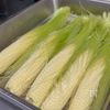 巻くだけ簡単🌽ヤングコーンの春巻きの工程1