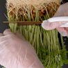 ［ハムチーズのライスペーパー包み焼き］もちもち食感！包丁不要の工程1