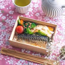 後片付けラクラク！【塩さばと明太卵焼きの彩り弁当】