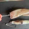イカシュウマイの下準備