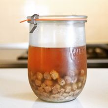 レーズン酵母