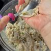 【包まない!エビと冷凍豆腐の焼き焼売】節約/かさましの工程3
