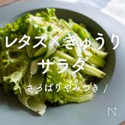 「レタス×きゅうりのサラダ」30選｜さっぱりやみつき