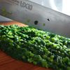 モロヘイヤとしらすの冷やし蕎麦の下準備