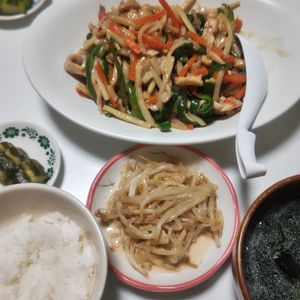 小梅法師の作ってみた!投稿(［彩り青椒肉絲］3Step！漬け込んで焼くだけ！下味冷凍可能)