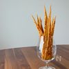 1㎜の衝撃!七味チーズの米粉クリスピー