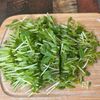 腸スッキリ!【豆苗とひらひらにんじんの腸活サラダ】の工程1