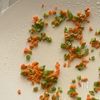 味噌だれのくるくる野菜巻き炒め/お弁当にもの工程3