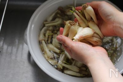 らっきょうの塩漬け 下漬け By がまざわ たかこ レシピサイト Nadia ナディア プロの料理家のおいしいレシピ