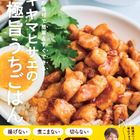 Nadia Booksシリーズ第3弾『スギヤマヒサエの技あり！ 極旨うちごはん』が発売に！