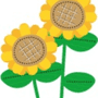 ひまわり🌻