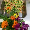 そら・ゆずの作ってみた!投稿(抱えて食べたいやみつきレシピ【小松菜とにんじんのツナナムル】)
