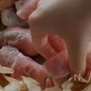 【3つの材料で料亭の味】ゆず胡椒タレ✨旬野菜の肉巻きの工程4