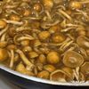 柚子胡椒香る★厚揚げのなめこあんかけの工程10