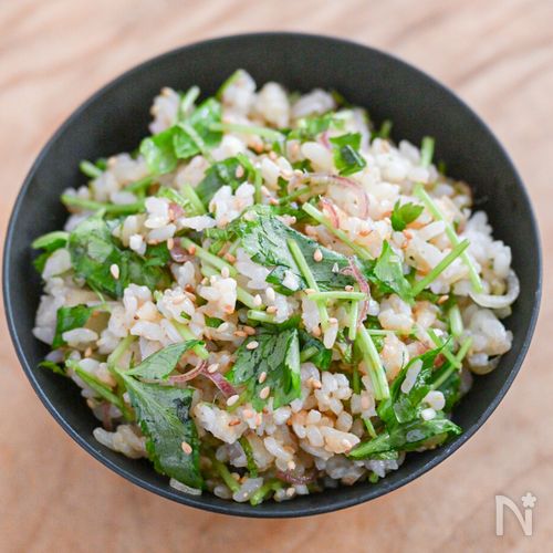 暑いにぴったり！薬味たっぷり混ぜごはん