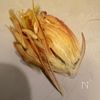 【栄養満点】彩りそうめん弁当の工程3