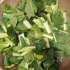 【豆腐干】健康管理の味方◎小松菜と挽肉の甘辛バジル味の工程4