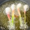 葉生姜とししとうの米粉から揚げの工程6