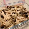 壱くんママの作ってみた!投稿(【炊飯器で低温調理！】しっとりハーブチキンときのこのサラダ)