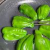 大葉香る 鶏ピーマンの甘辛焼き（舞茸入り）の工程5