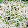 節約&5分!豆苗ともやしのスピード炒めの工程1