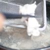 【豚しゃぶ塩だれサラダ】抱えて食べたい!さっぱり味♪の工程1