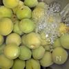酸味が美味しい【うめジャム】夏バテ防止の下準備