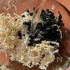 食物繊維たっぷりで便秘解消！【切干大根のナムル】の下準備