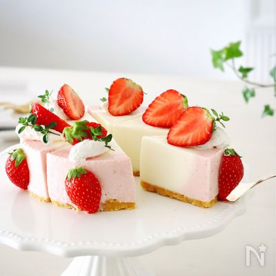 簡単♡【いちごレアチーズケーキ】混ぜて冷やすだけ！