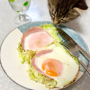 のりのり🐾🎀🤍の作ってみた!投稿(ほんのひと手間!千切りキャベツのハムエッグ)