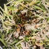 【ゴーヤの青椒肉絲】ご飯泥棒！甘辛ゴーヤ＋中華が優勝レベル！の工程5