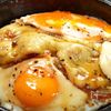 【究極ズボラ丼】包丁なし!5分でできる『ハムチーズエッグ丼』